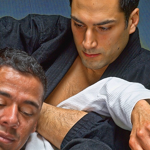 أيقونة BJJ Purple Belt Requirements