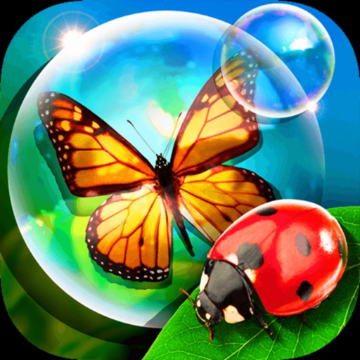 أيقونة Bugs and Bubbles