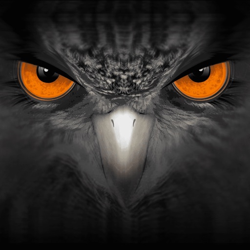 أيقونة EagleEyes-plus