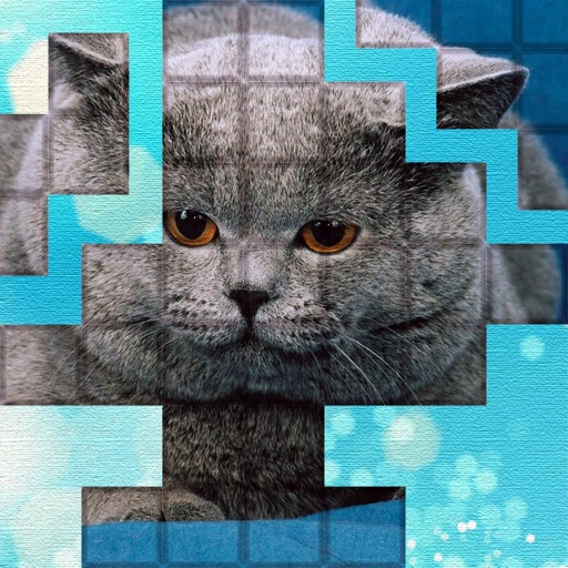 أيقونة PicPu - Cat Picture Puzzle